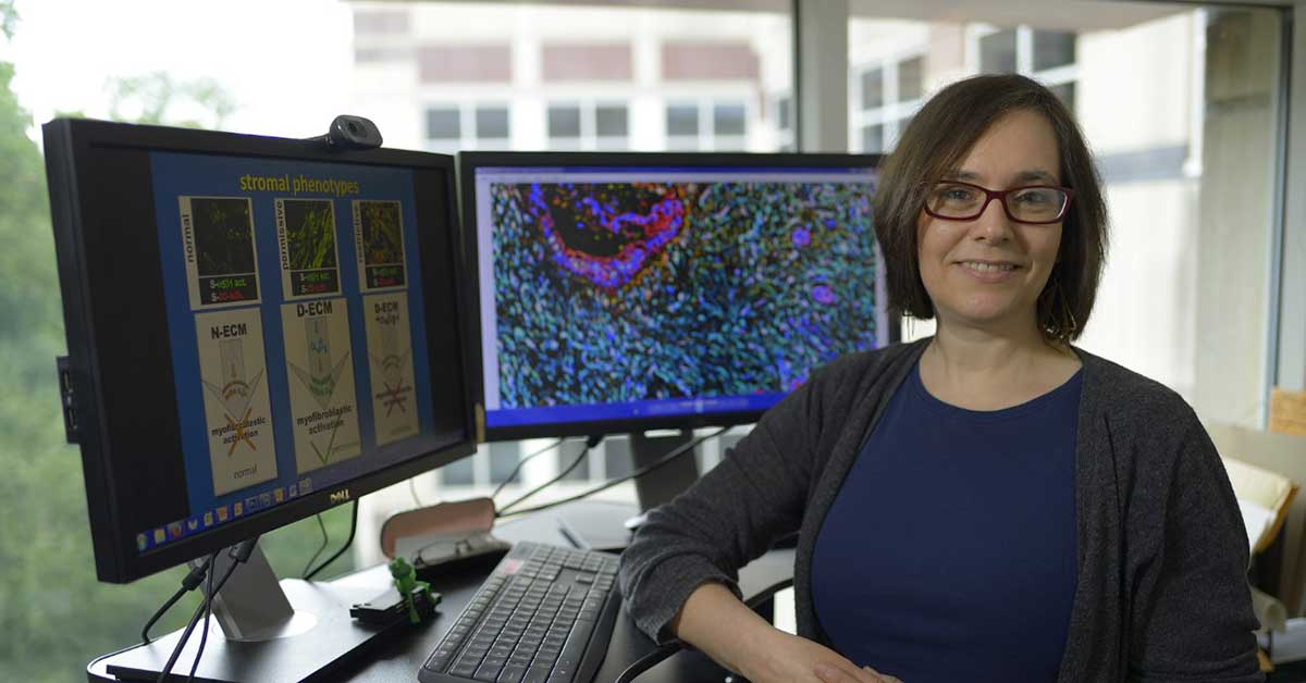 Edna (Eti) Cukierman, PhD; Professor Co-Leader, Cancer Signaling and Epigenetics Program.